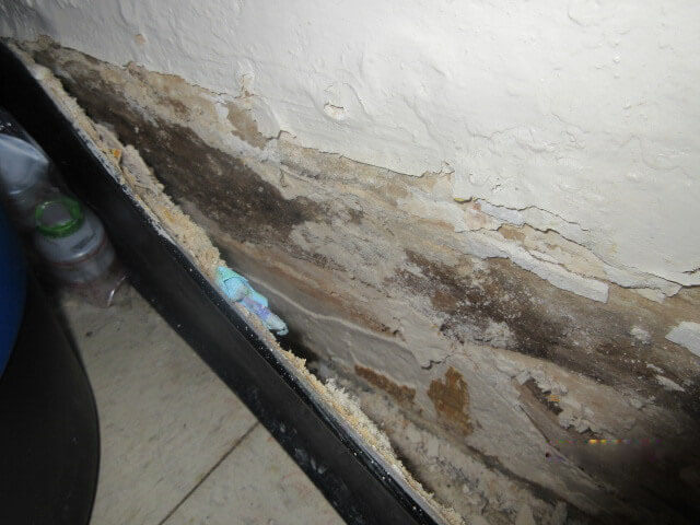 Mold home assessments 