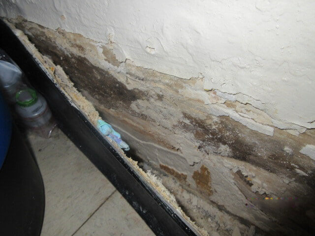 Unmatched Black Mold Testing & Inspection, San Jose, CA, black mold